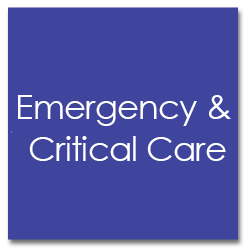 critical and emergency medicine
