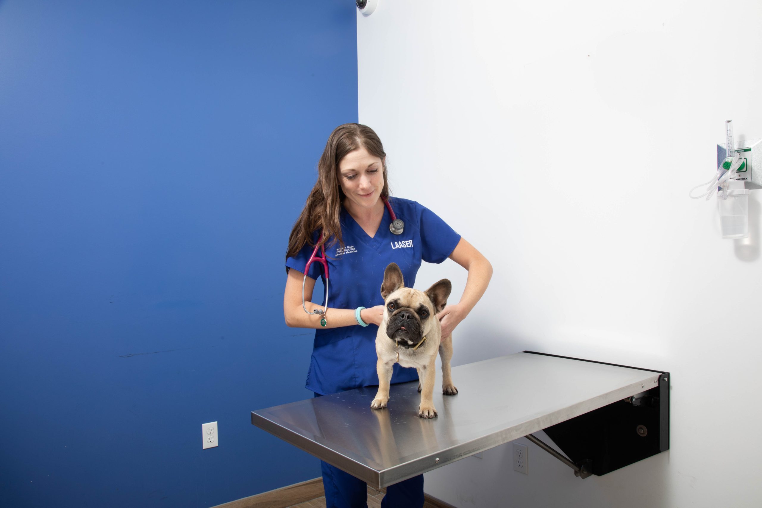 Veterinary Internal Medicine in Los Angeles | LAASER